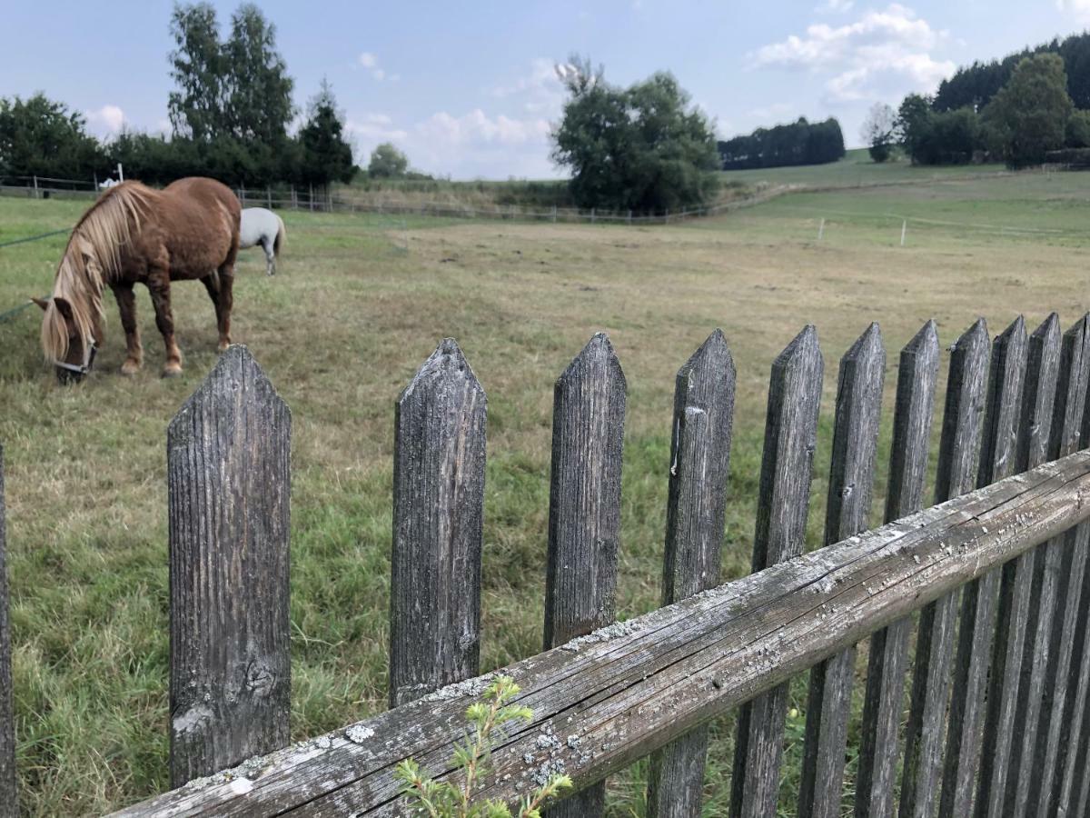 Ferienwohnung Landidyll Saalburg Luaran gambar